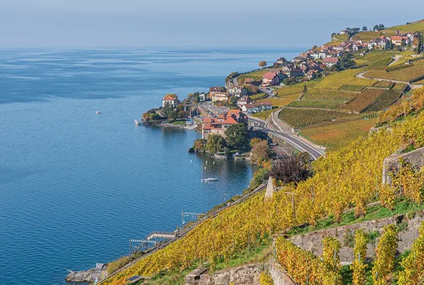 Air Medicals Air Ambulance in Geneva Switzerland